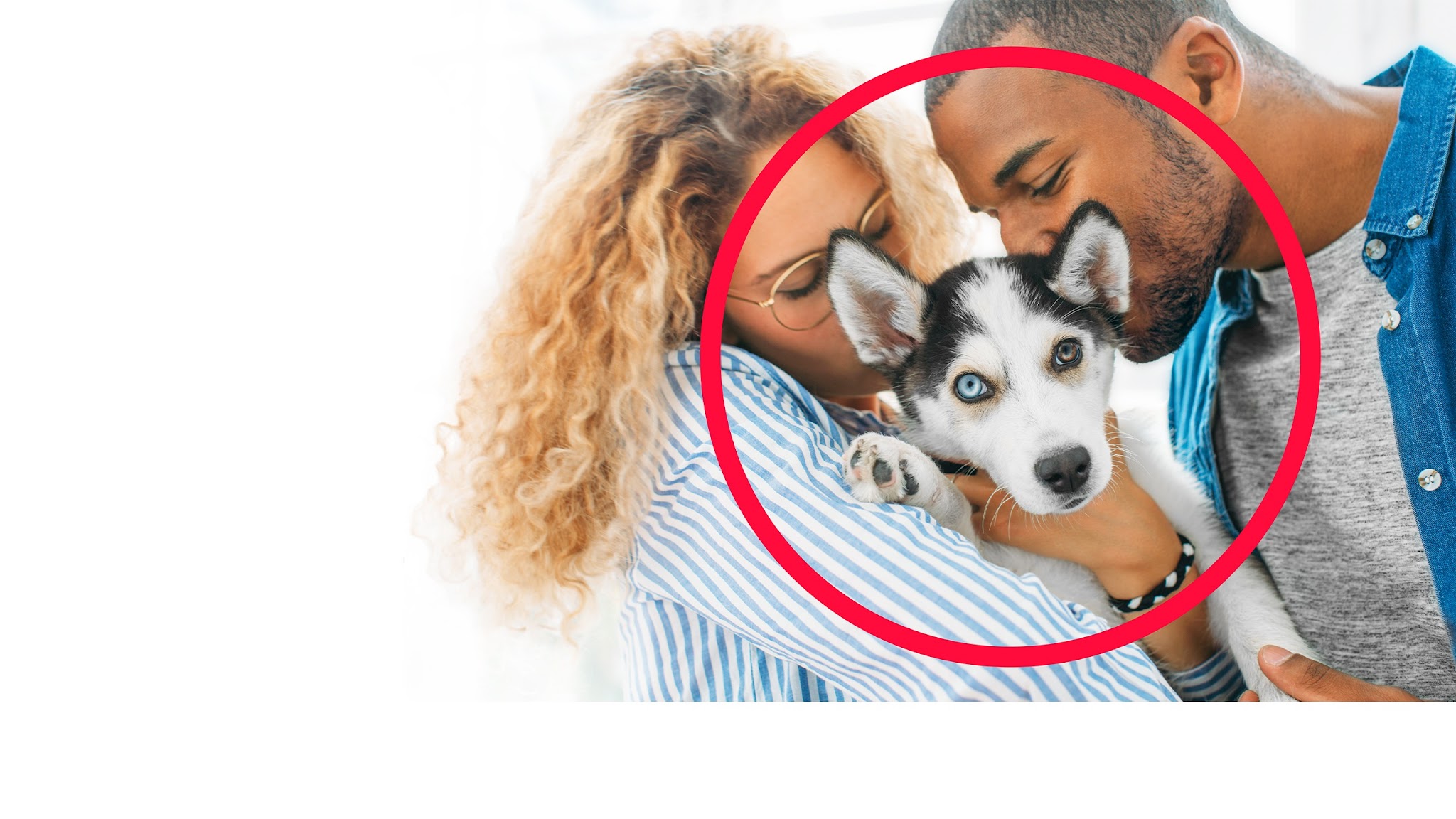 PetSmart YouTube banner