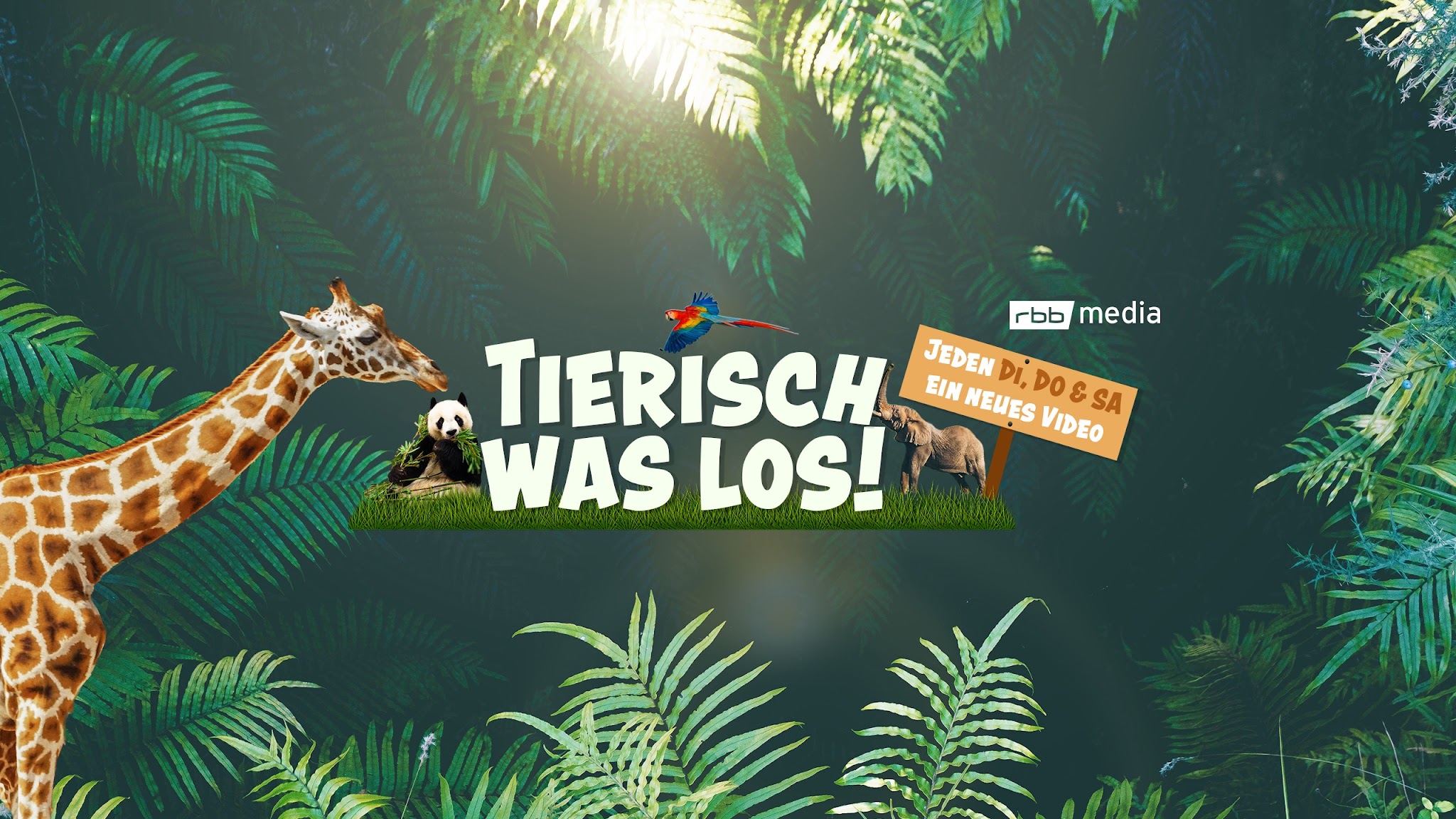 Tierisch was los! YouTube banner