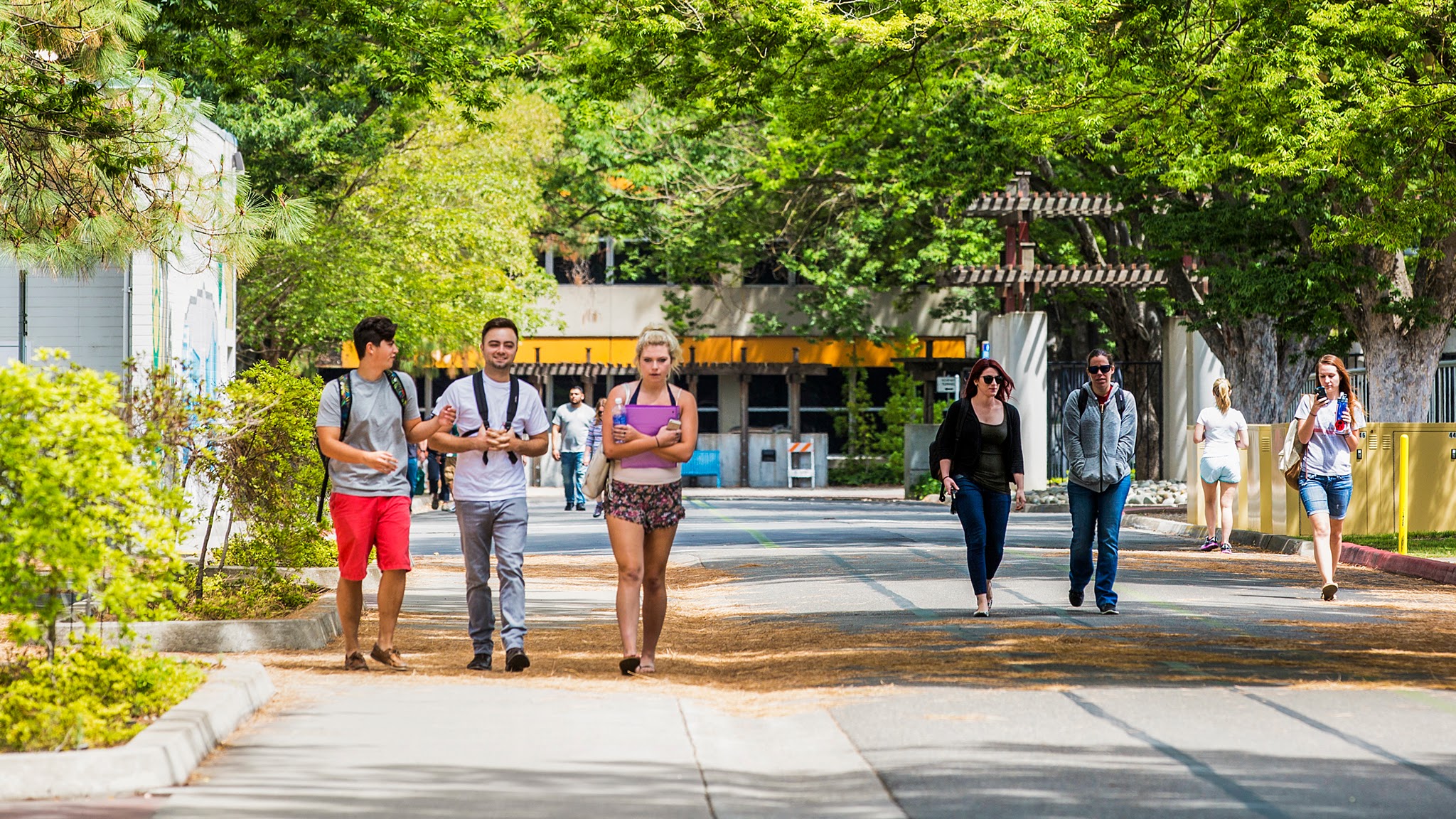 Sacramento State YouTube banner