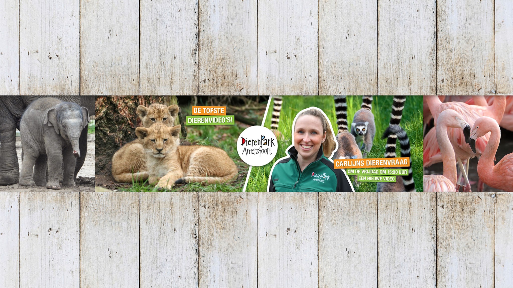 DierenPark Amersfoort YouTube banner