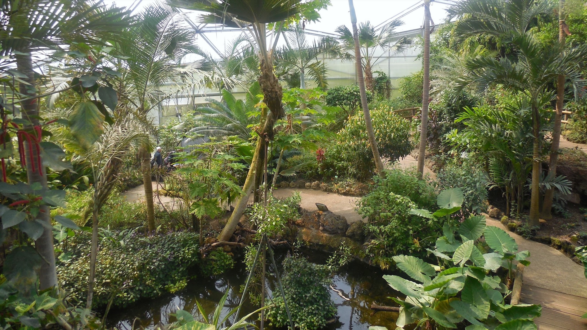 Papiliorama YouTube banner