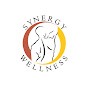 Synergy Wellness Chiropractic & Physical Therapy PLLC logo