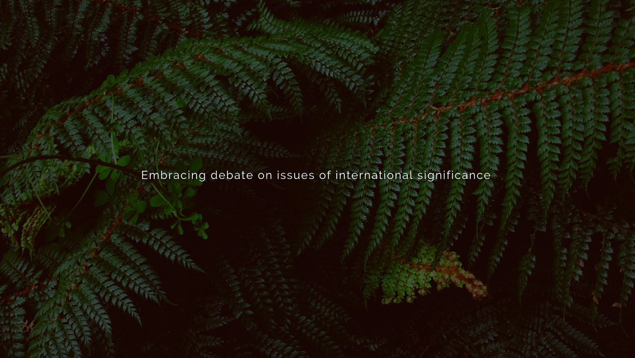 New Zealand Institute of International Affairs YouTube banner