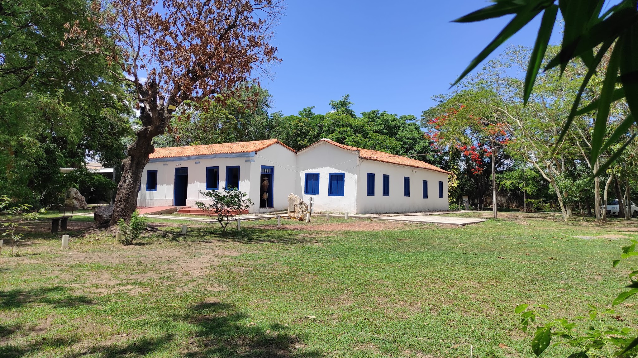 Museu de História Natural de Mato Grosso YouTube banner
