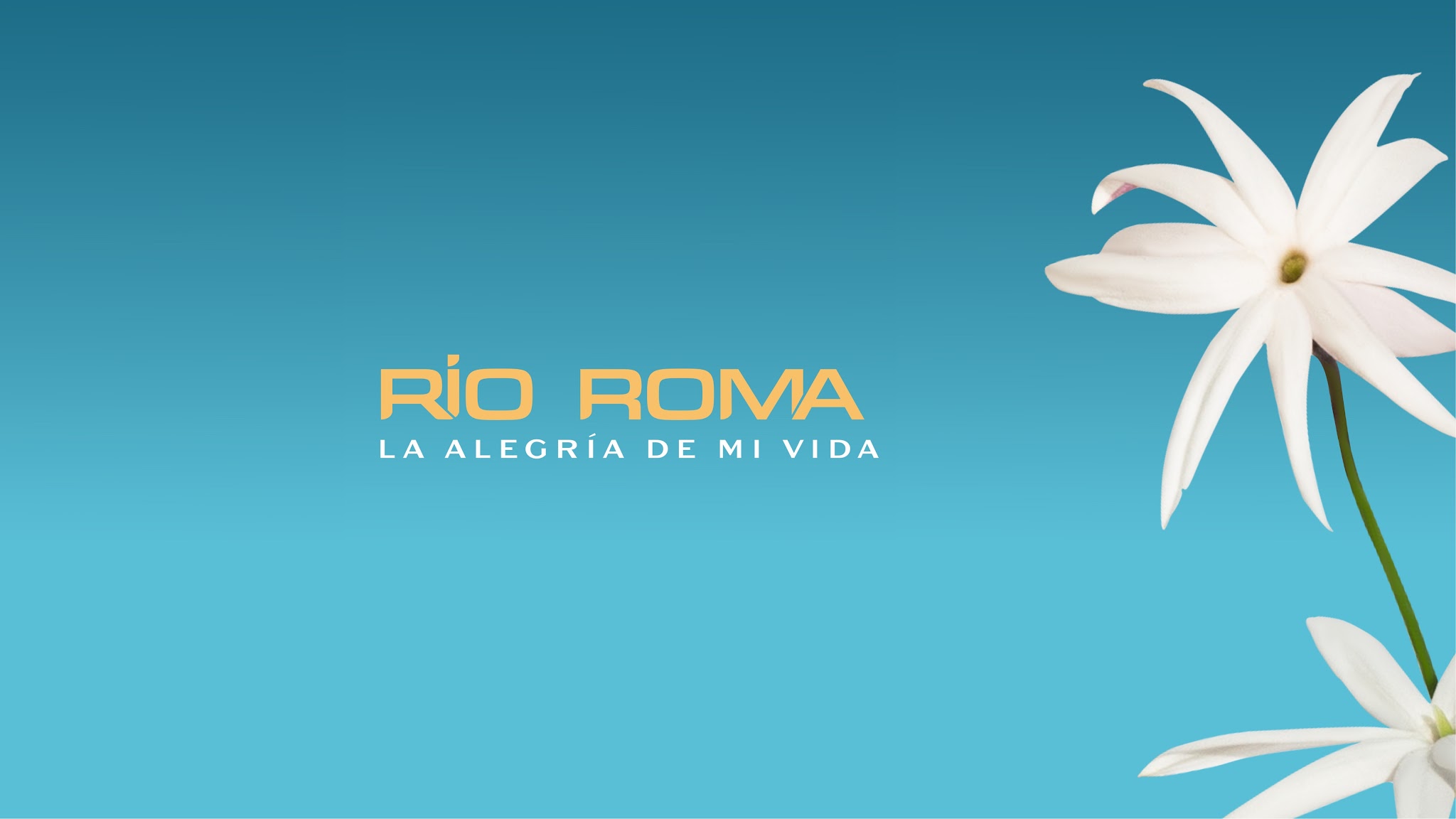 Río Roma YouTube banner