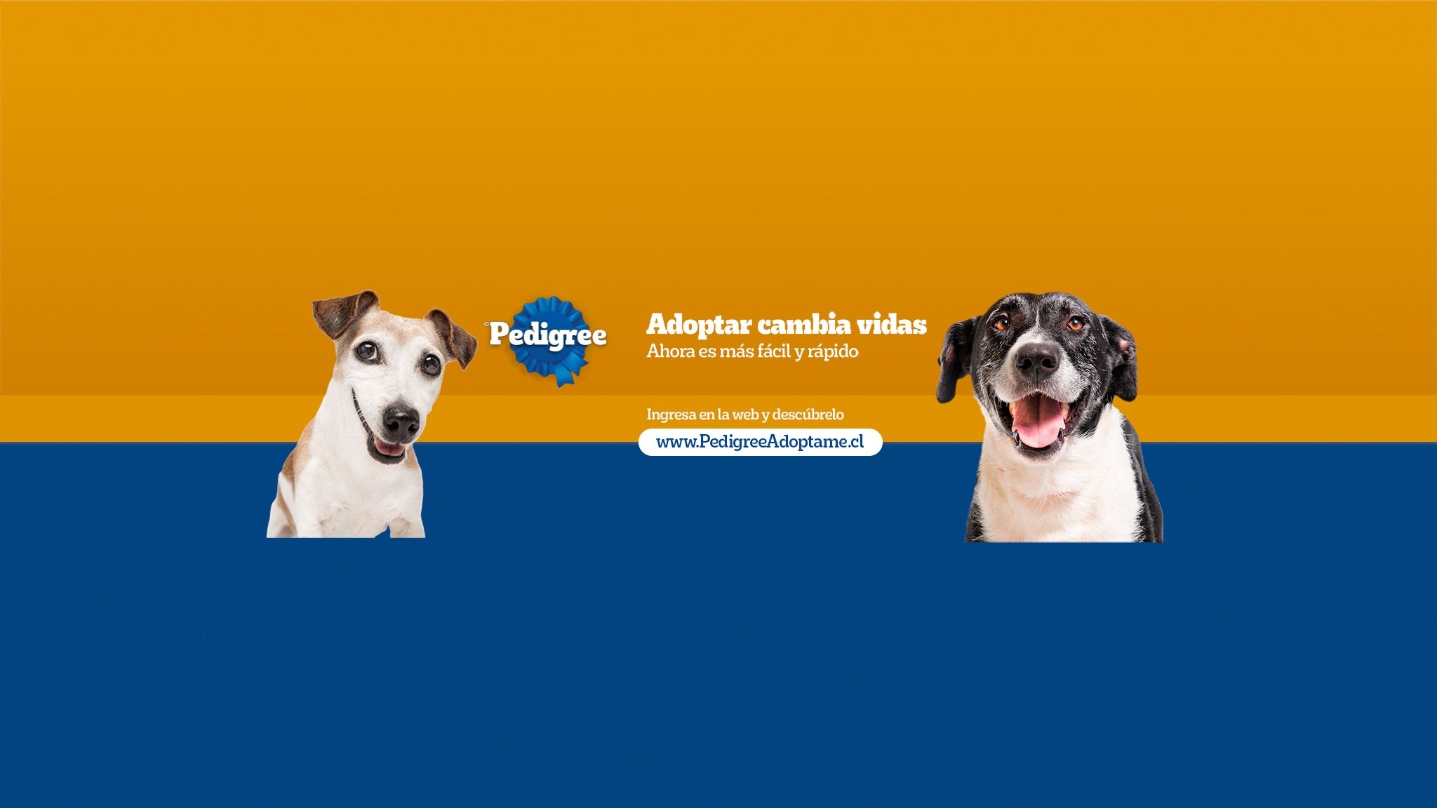 Pedigree Chile YouTube banner