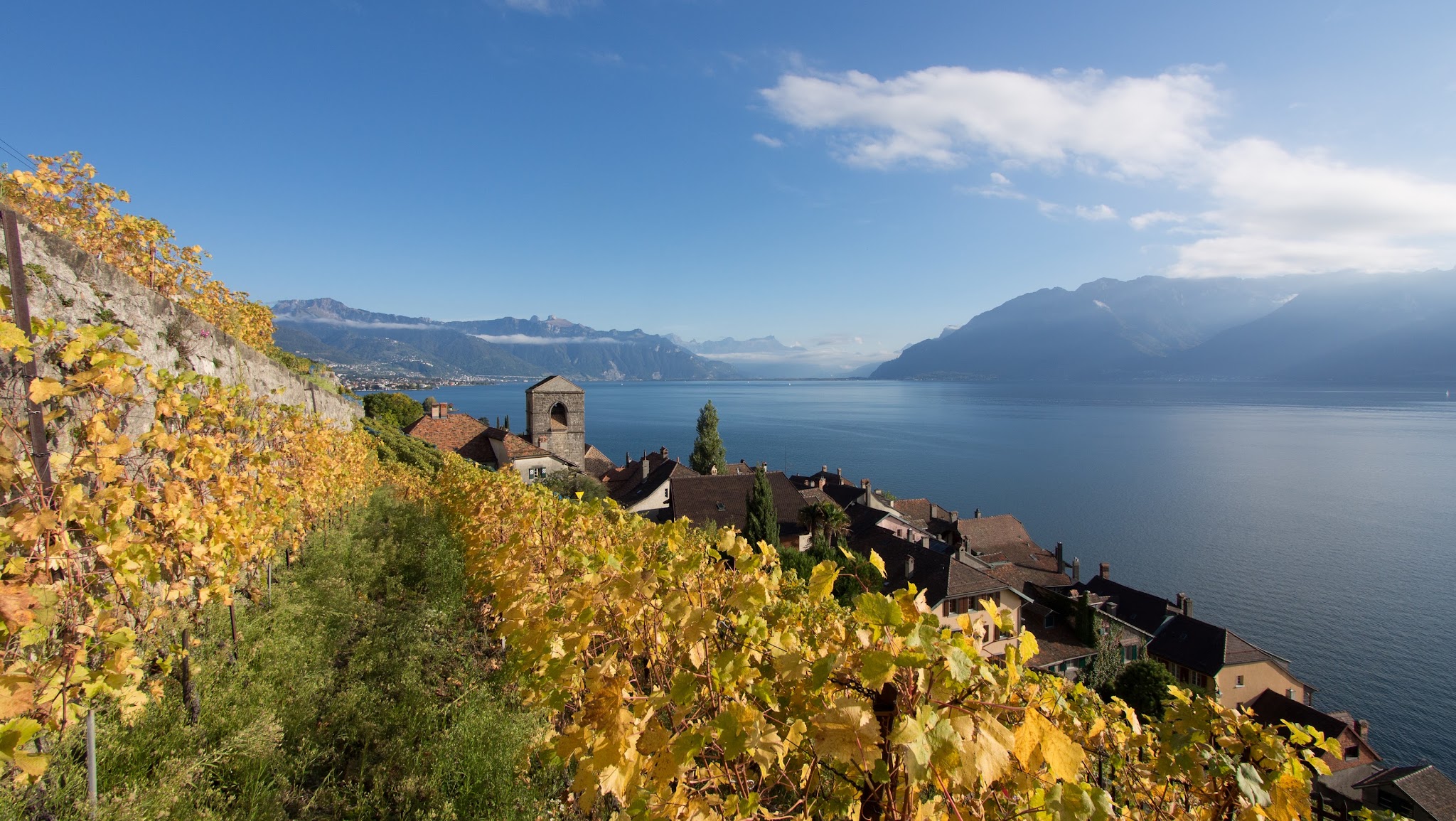 Swiss Wine UK YouTube banner