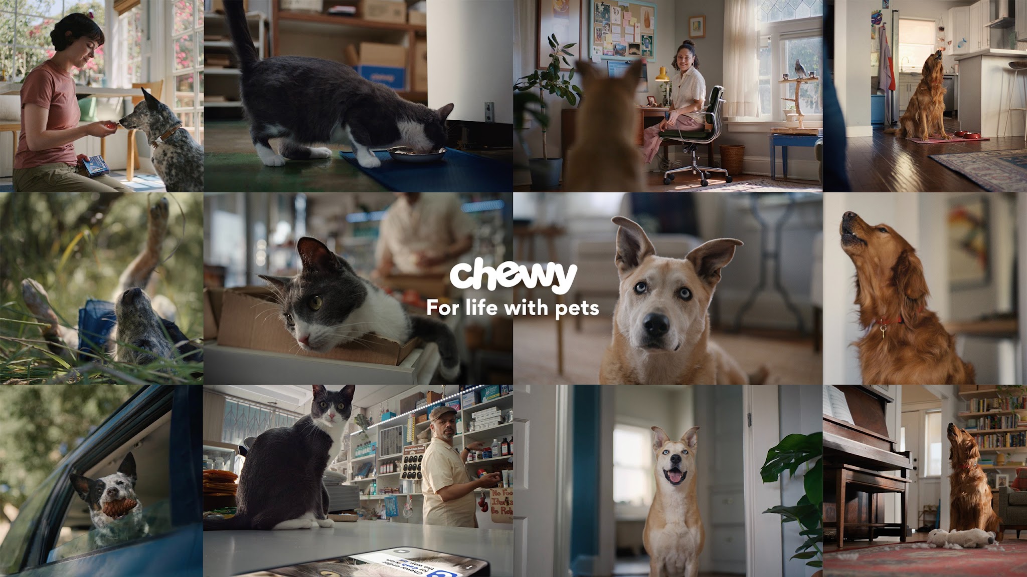 Chewy YouTube banner