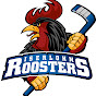 Iserlohn Roosters logo