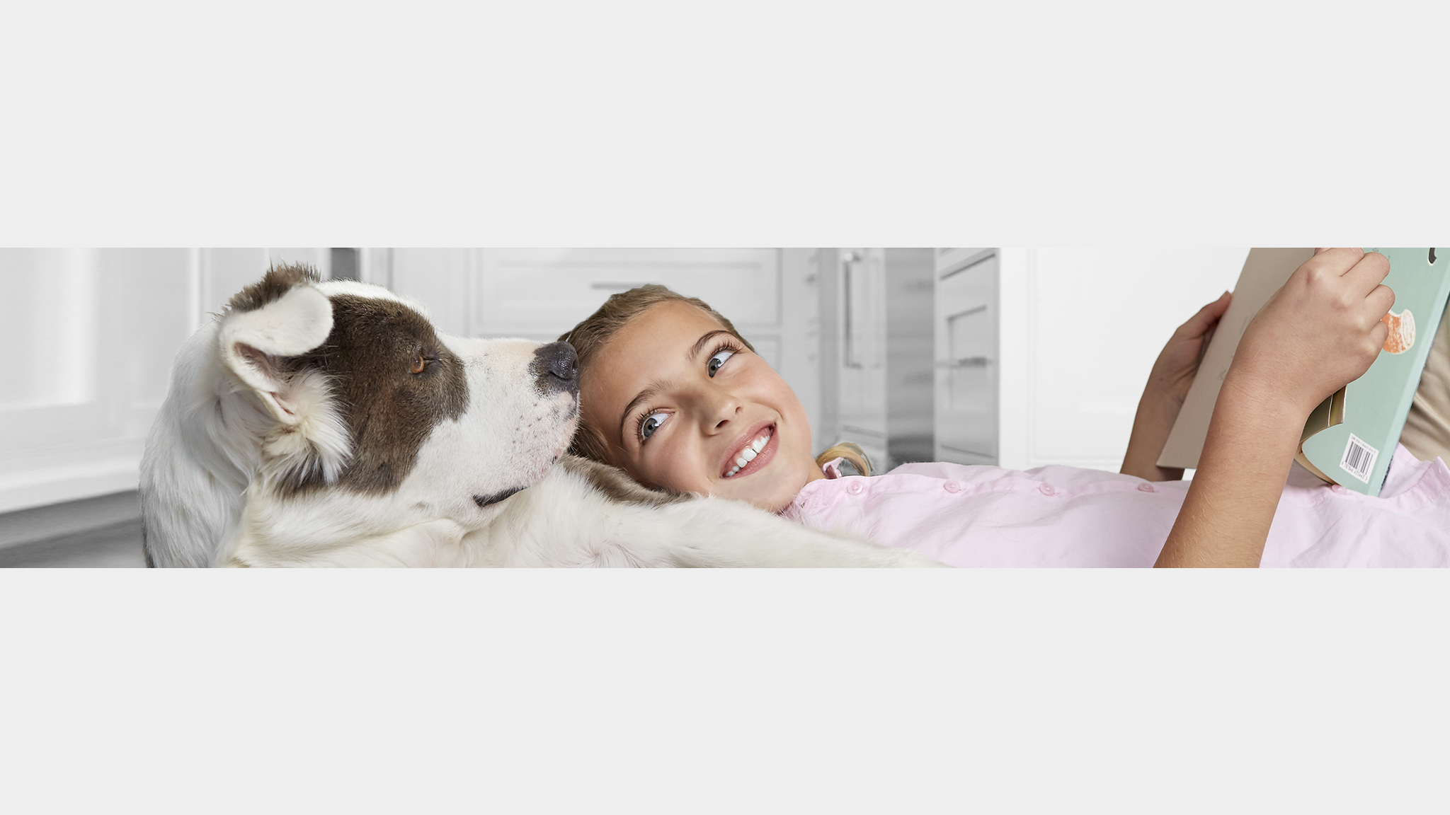 Purina Bulgaria YouTube banner
