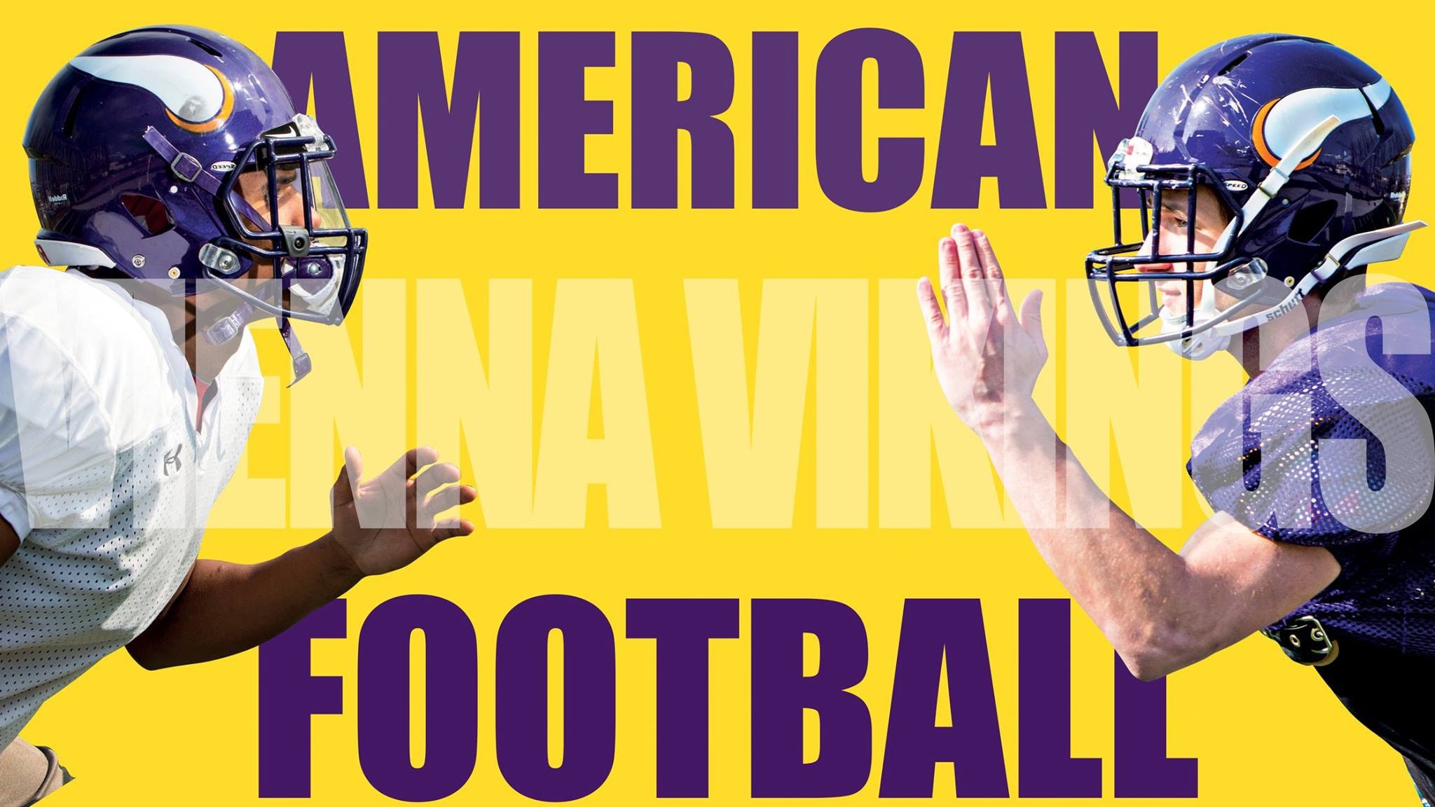 Vienna Vikings YouTube banner