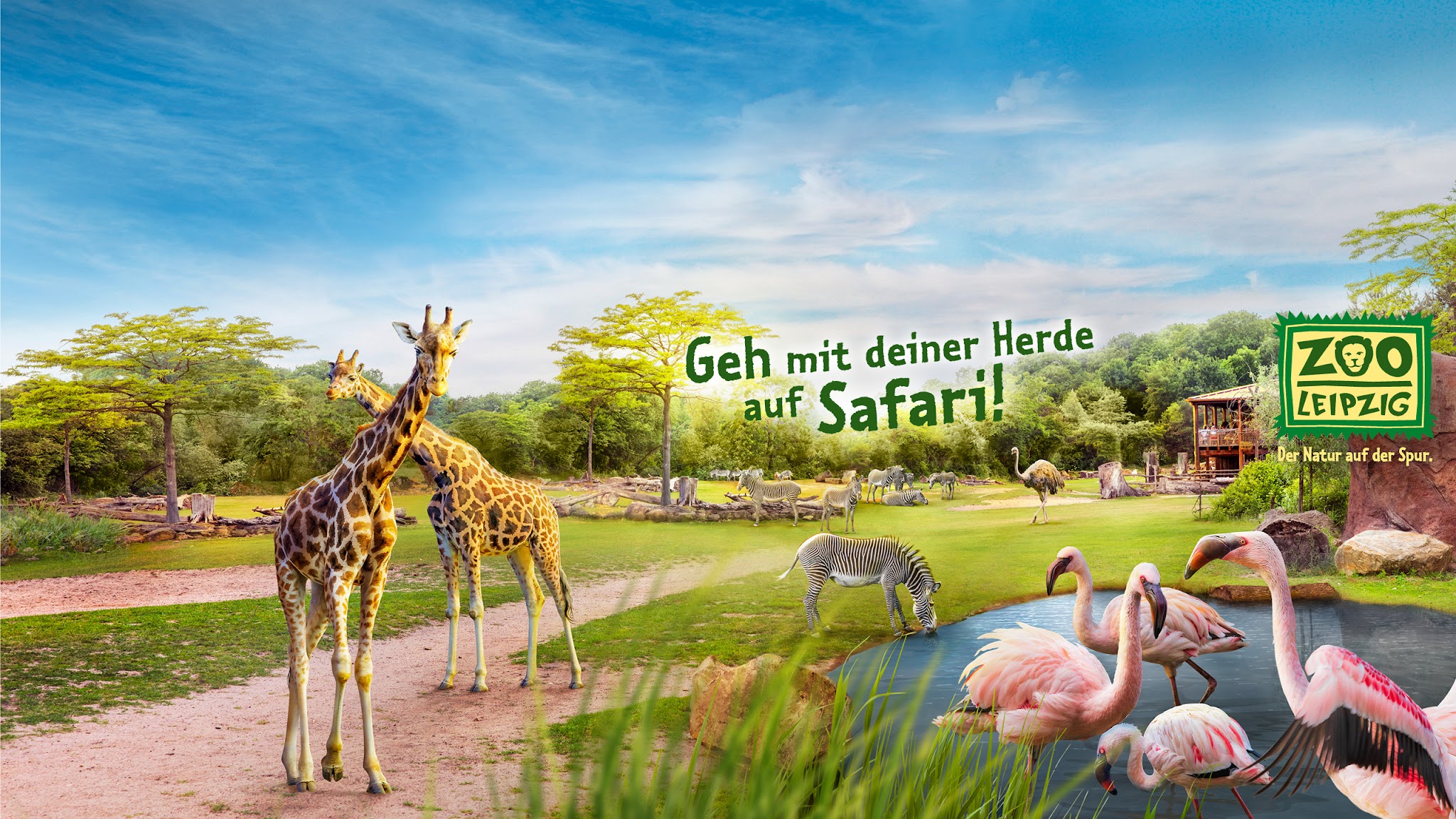 Zoo Leipzig YouTube banner