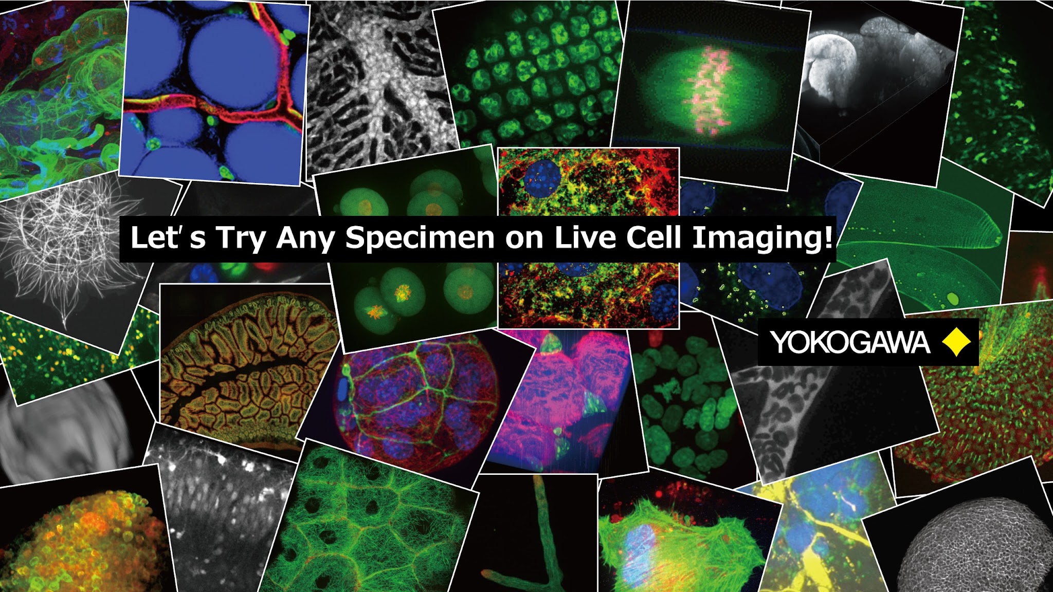 Life Science Yokogawa YouTube banner