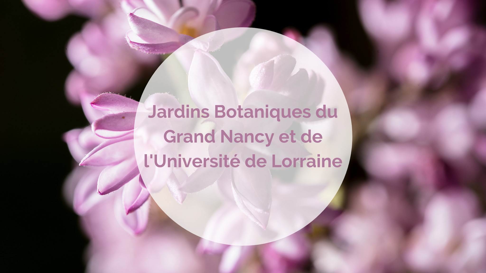 Jardins botaniques du Grand Nancy YouTube banner
