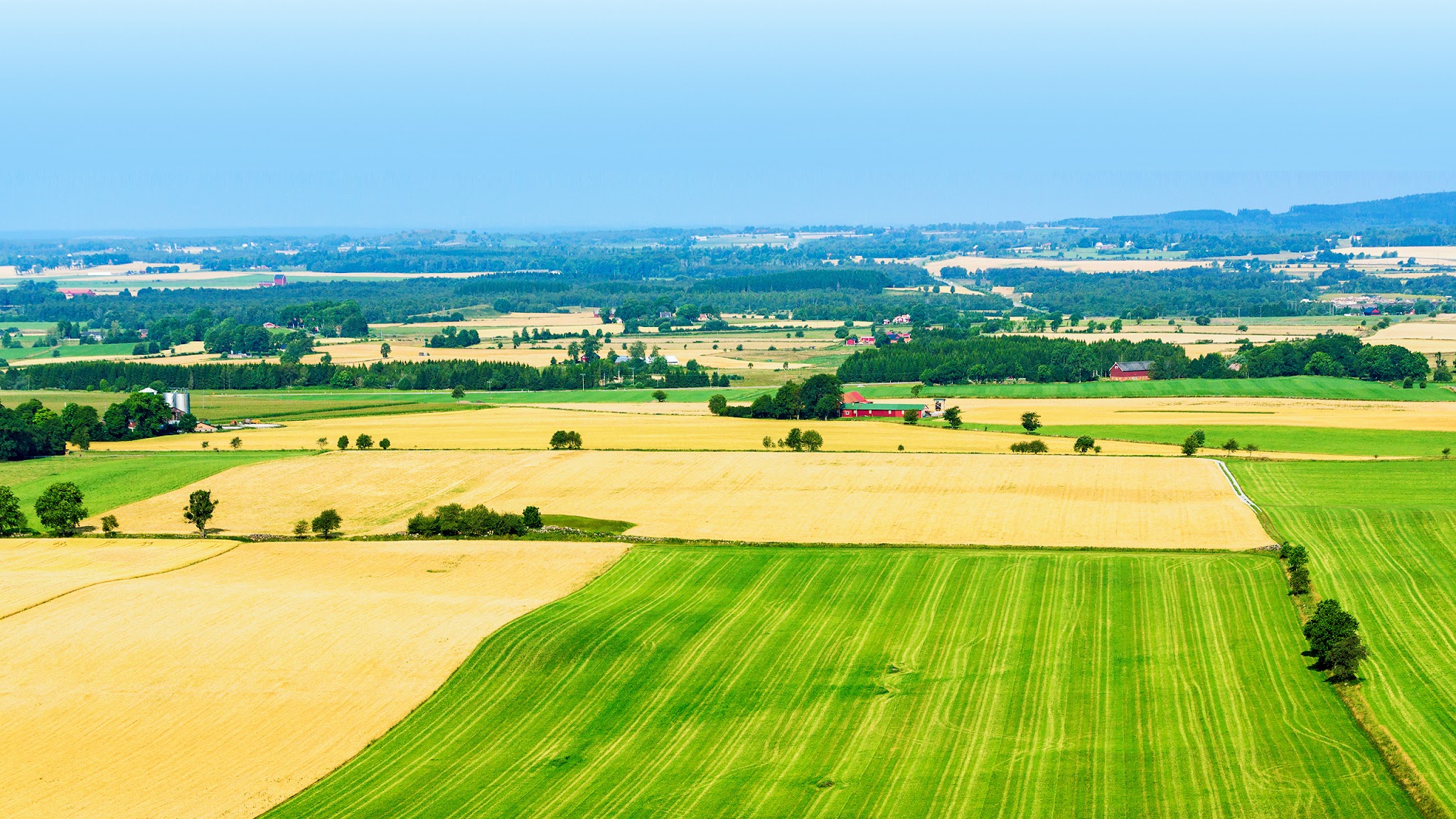Sverigedemokraterna YouTube banner