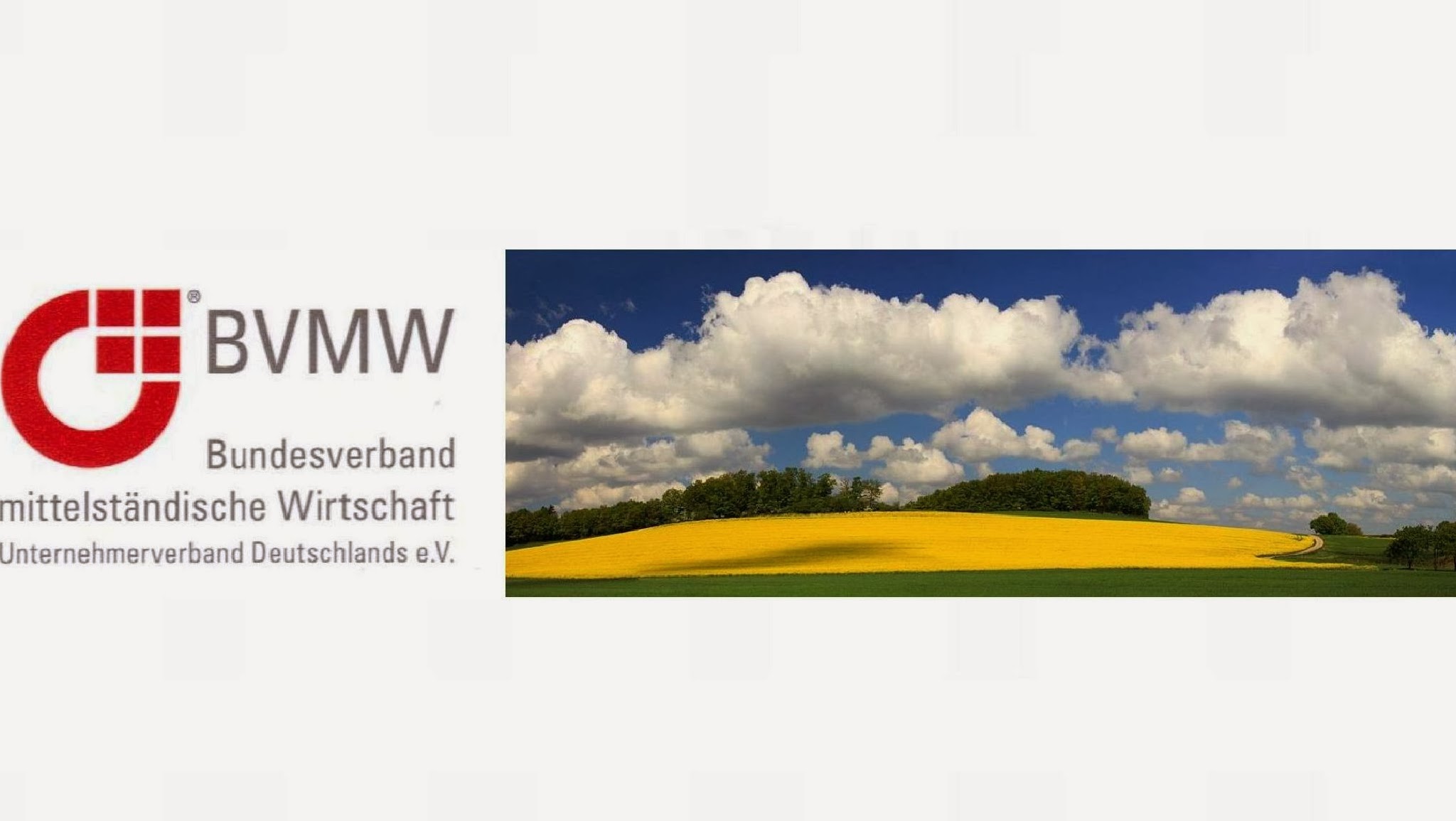 BVMW Eichsfeld YouTube banner