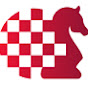 日本チェス連盟 - Japan Chess Federation YouTube channel avatar 