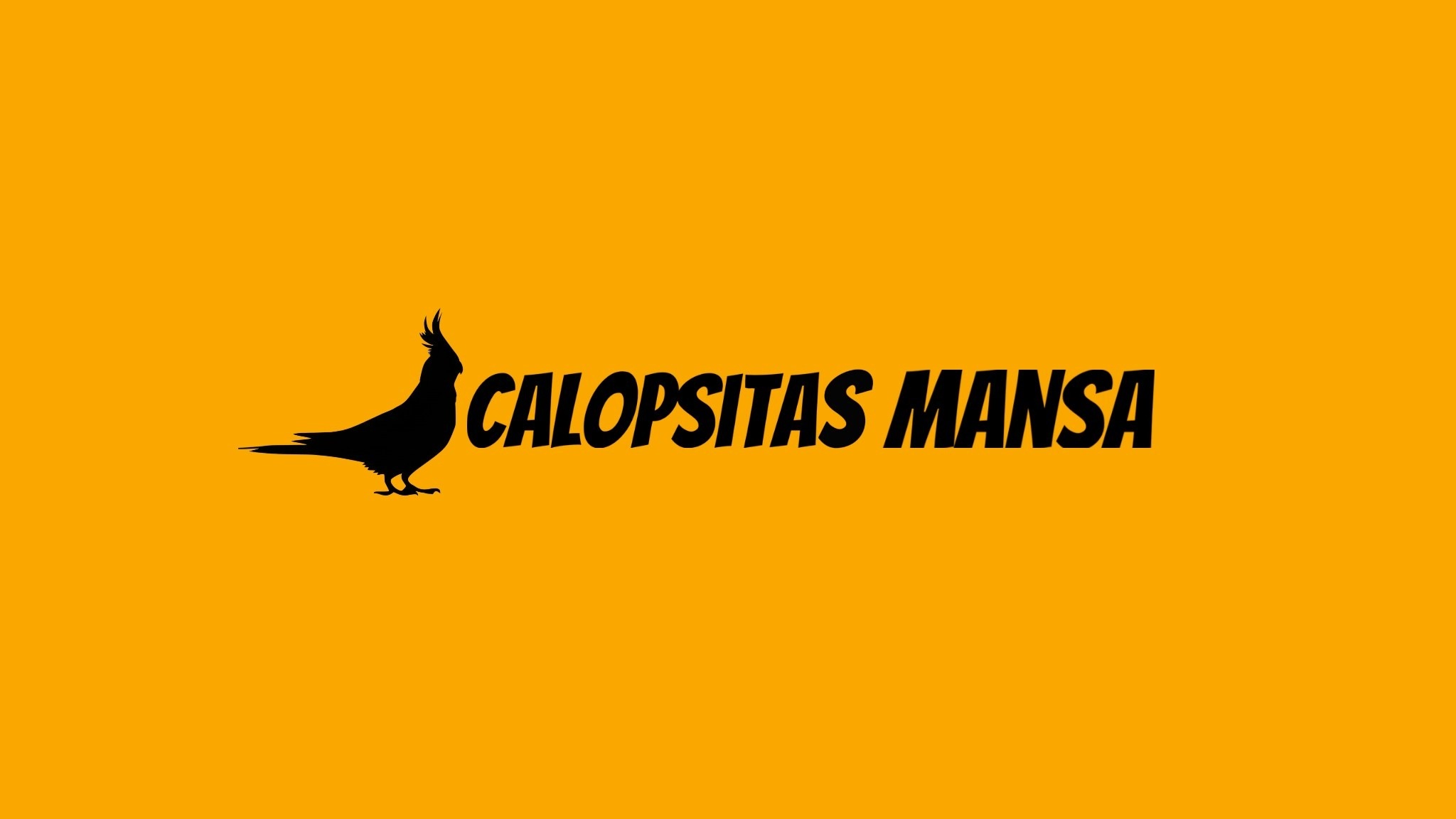 Calopsita Autodromo Interlagos YouTube banner