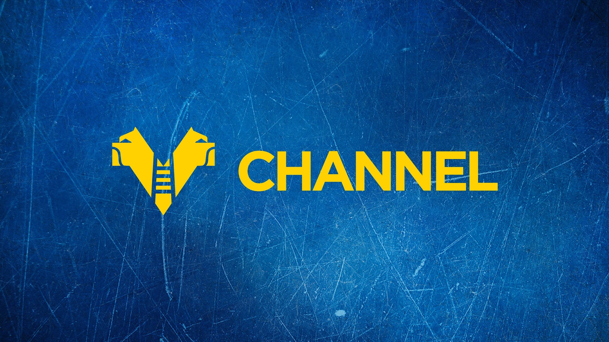 Hellas Verona FC YouTube banner