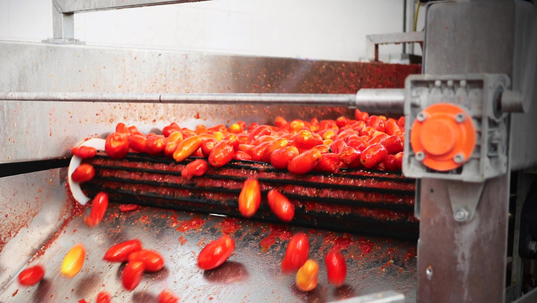 Navatta Group - Food Processing S.r.l. YouTube banner