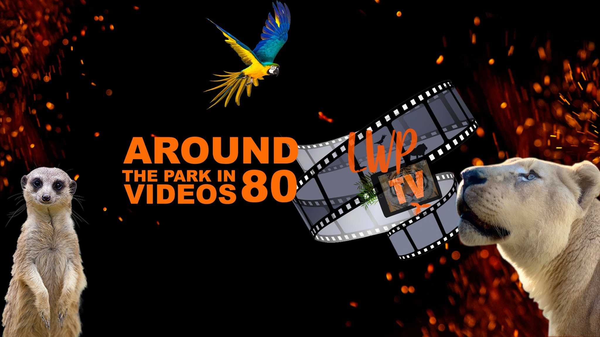 Lincolnshire Wildlife Park YouTube banner