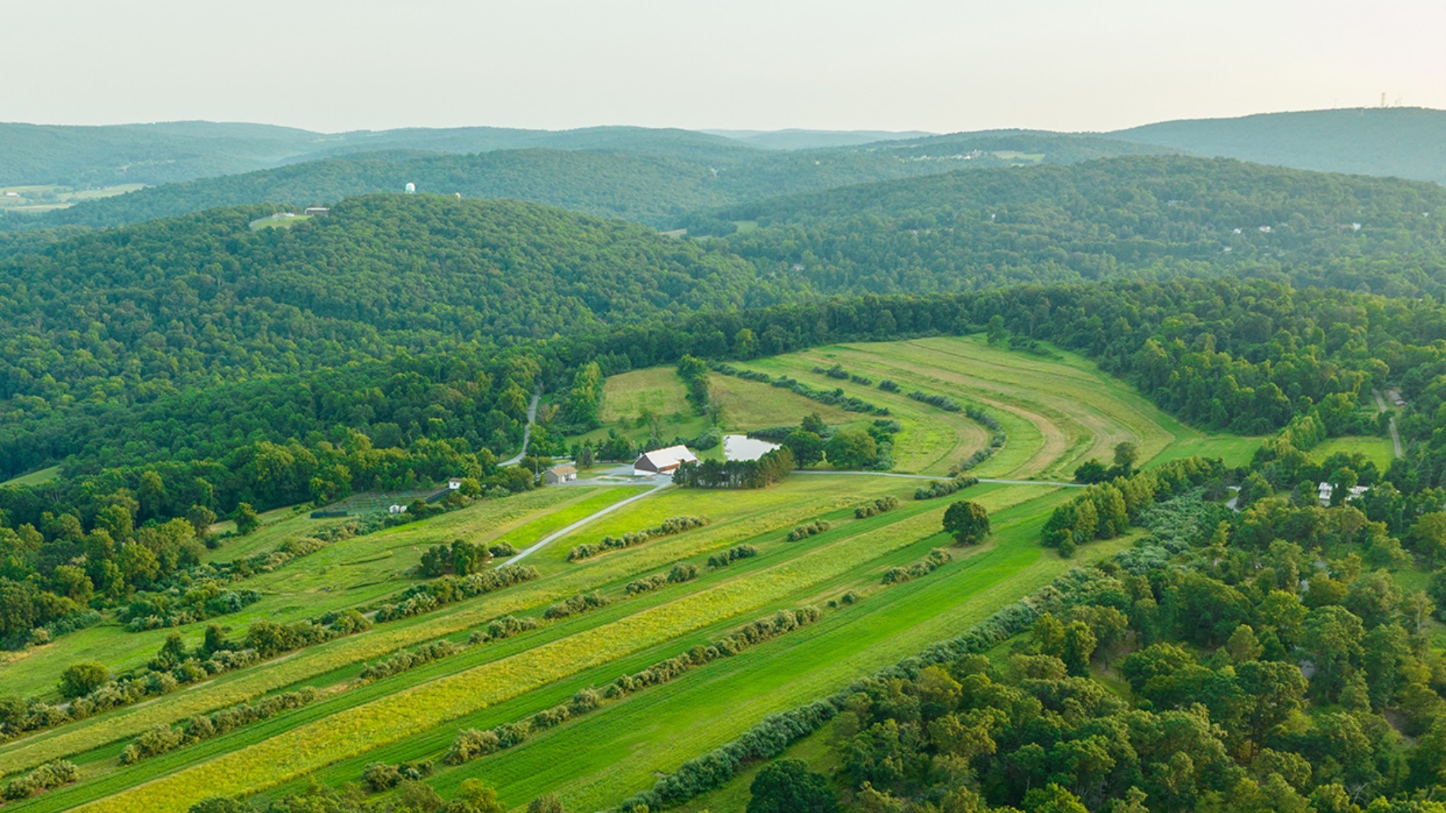 Whitetail Properties Land for Sale YouTube banner