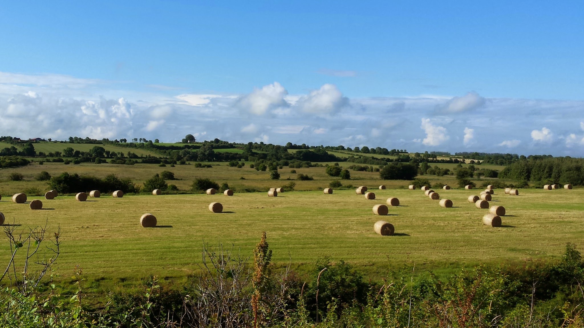 Department of Agriculture, Food and the Marine YouTube banner