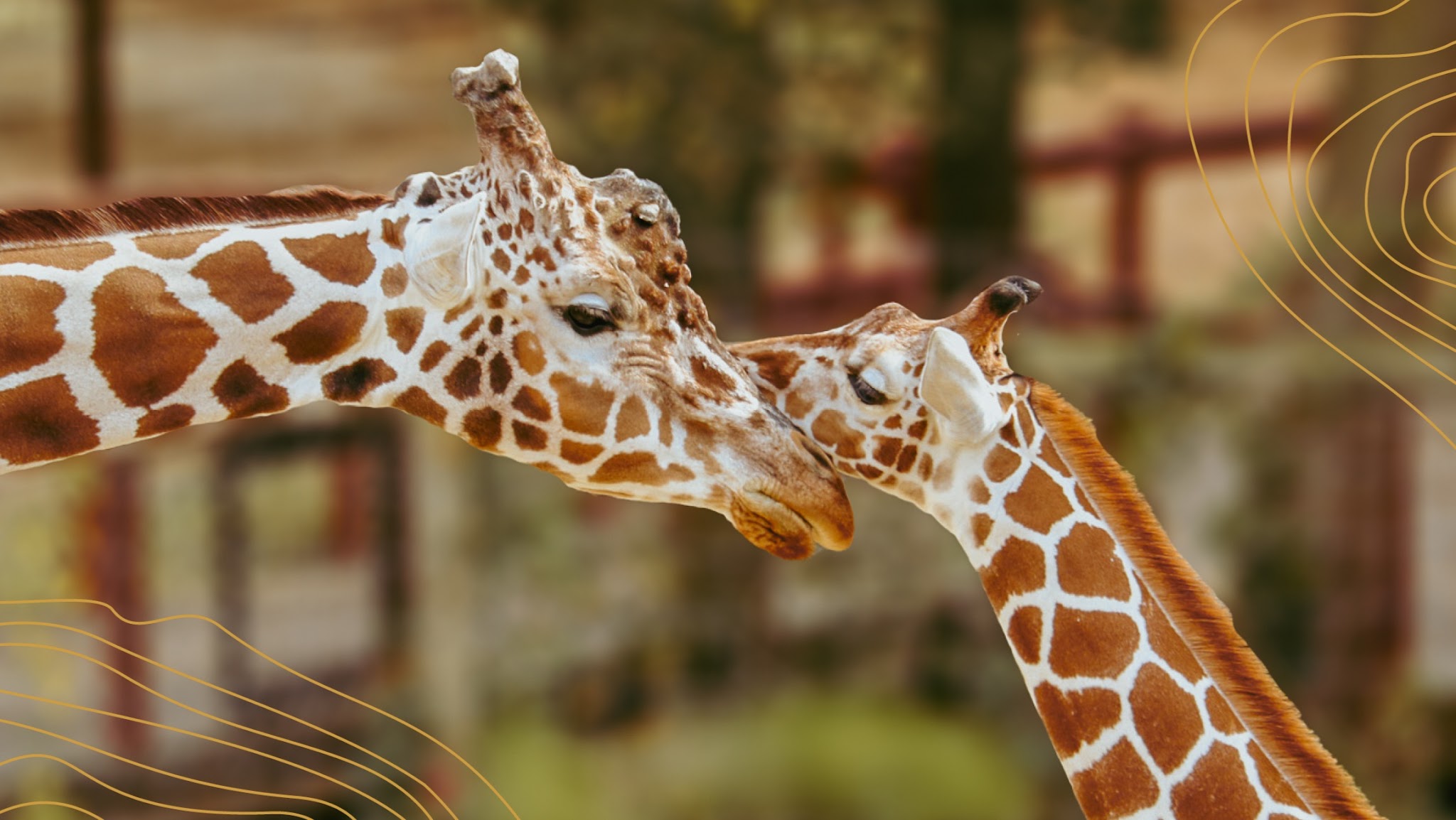 Blank Park Zoo YouTube banner