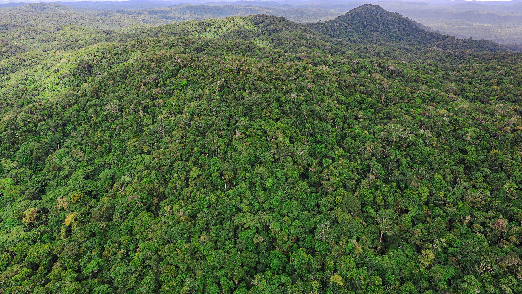 Ministério do Meio Ambiente e Mudança do Clima YouTube banner