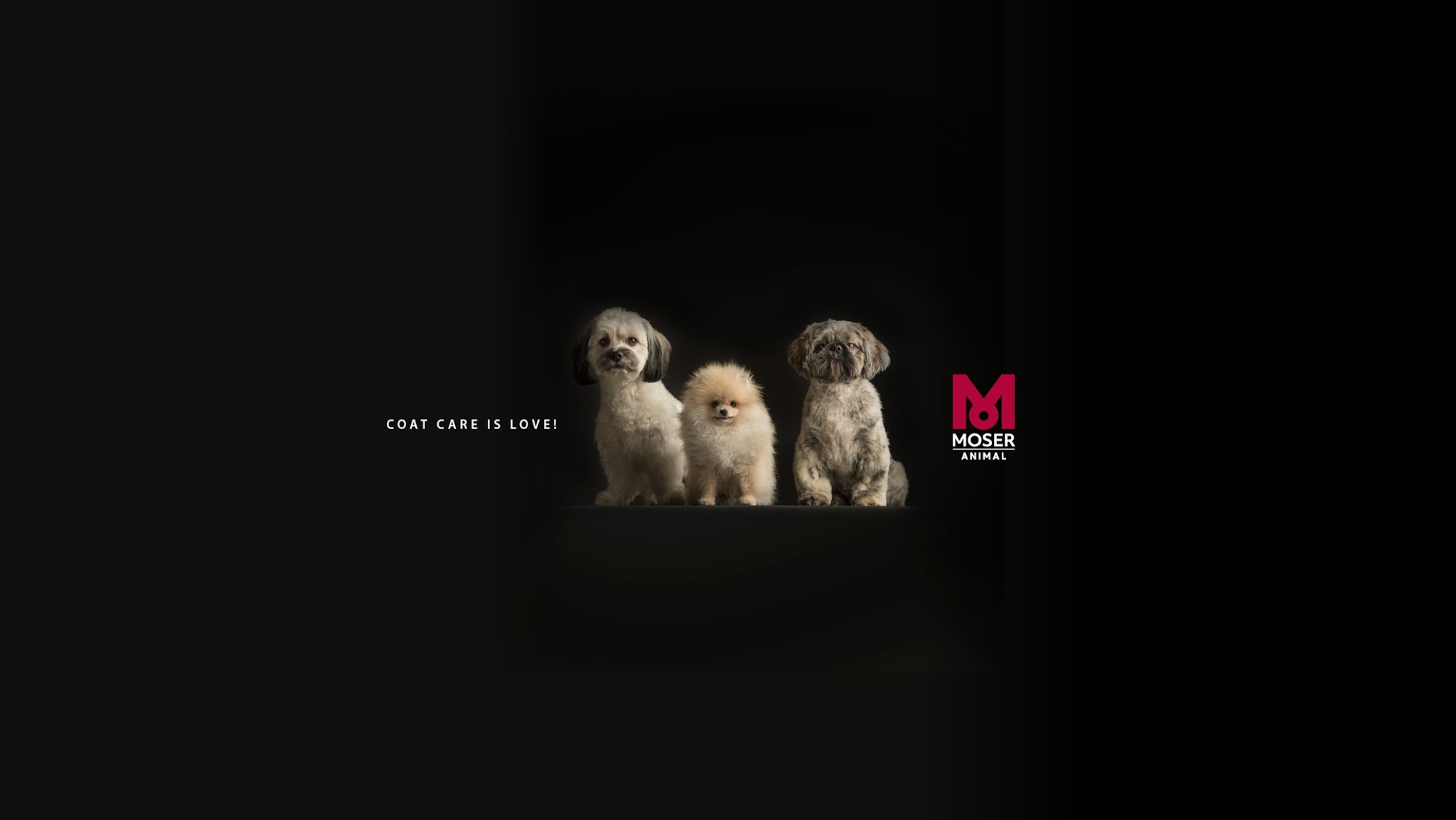 MOSER Animal YouTube banner