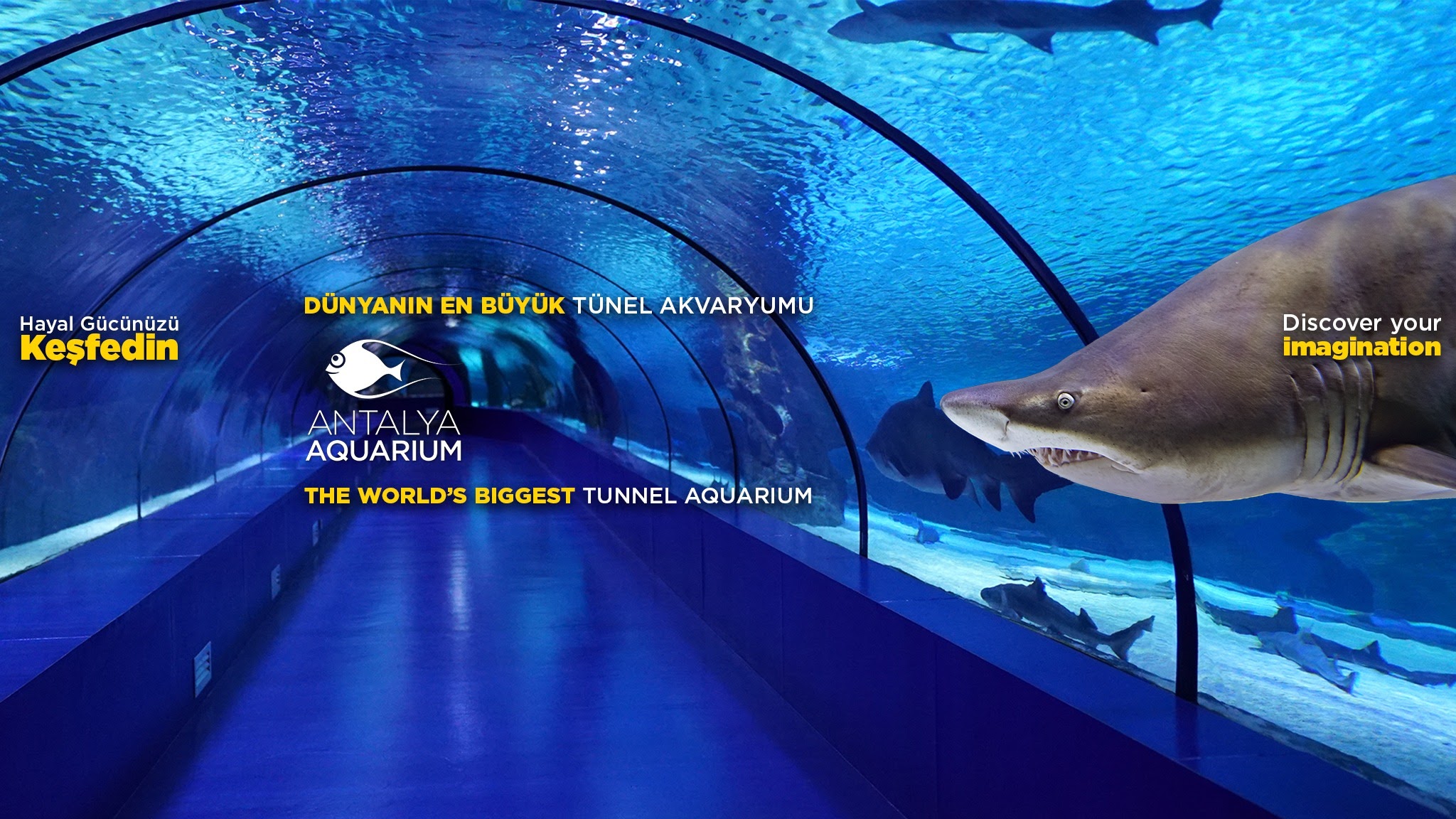 Antalya Aquarium YouTube banner
