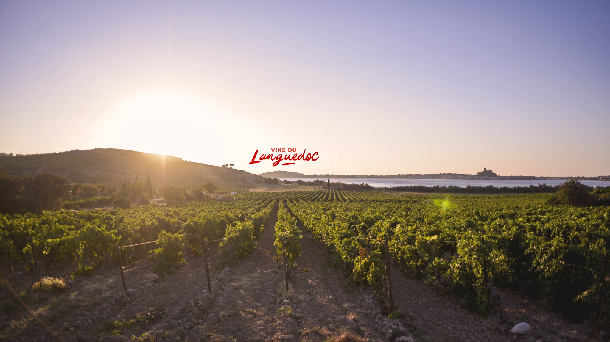 Vins du Languedoc YouTube banner