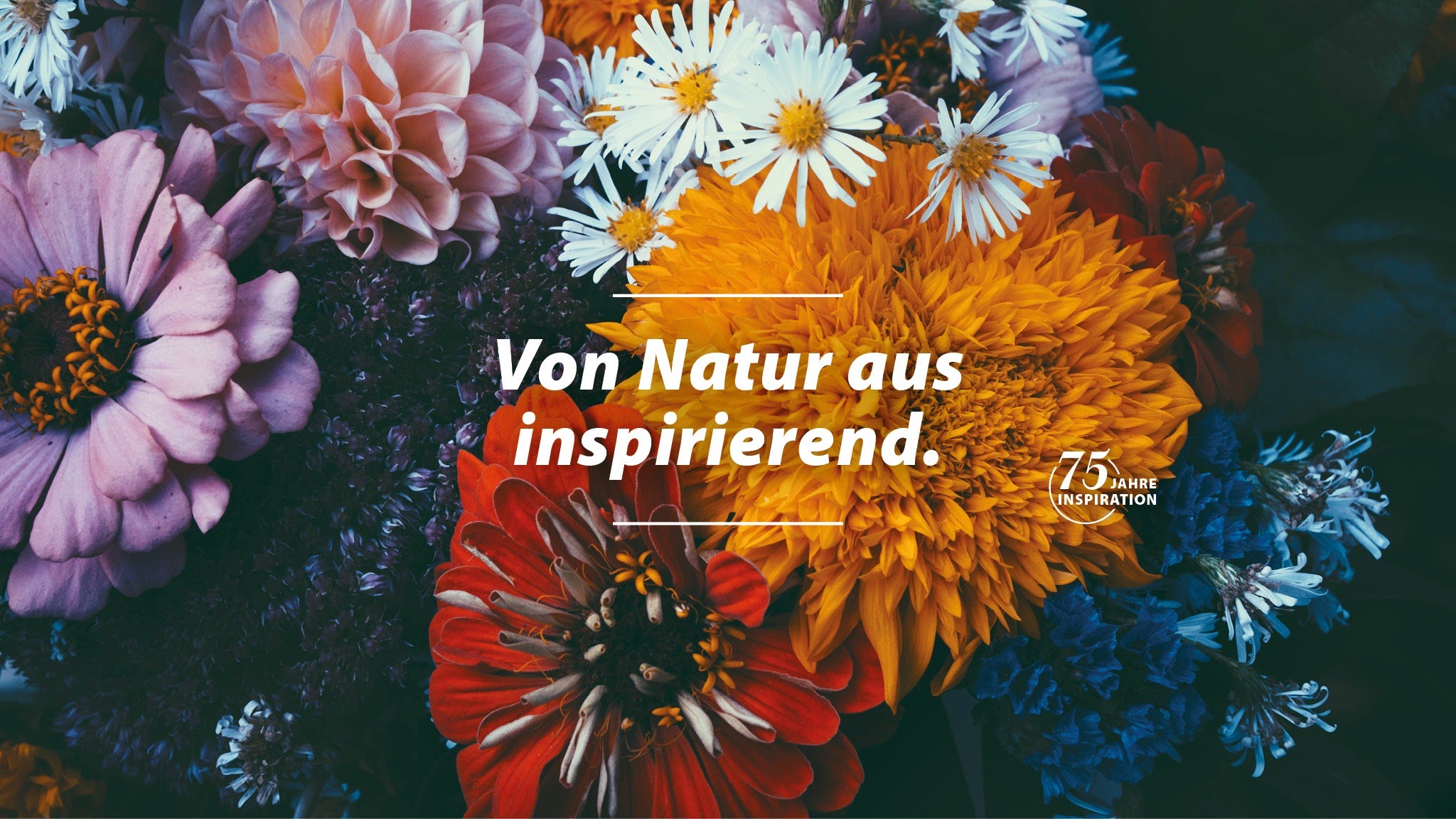 Dehner - Ihr Garten- und Heimtierprofi YouTube banner