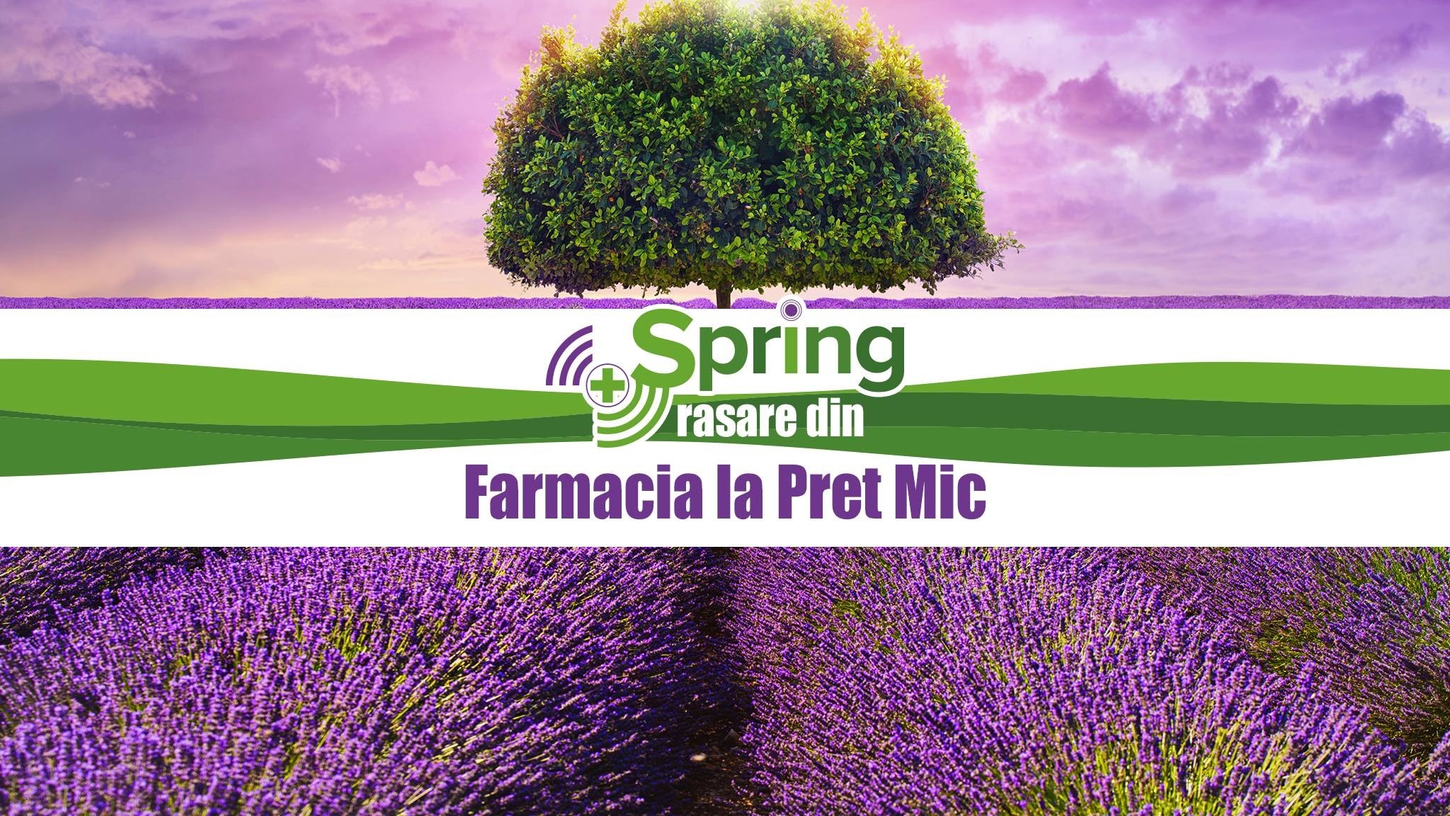 Spring, Farmacia La Pret Mic YouTube banner