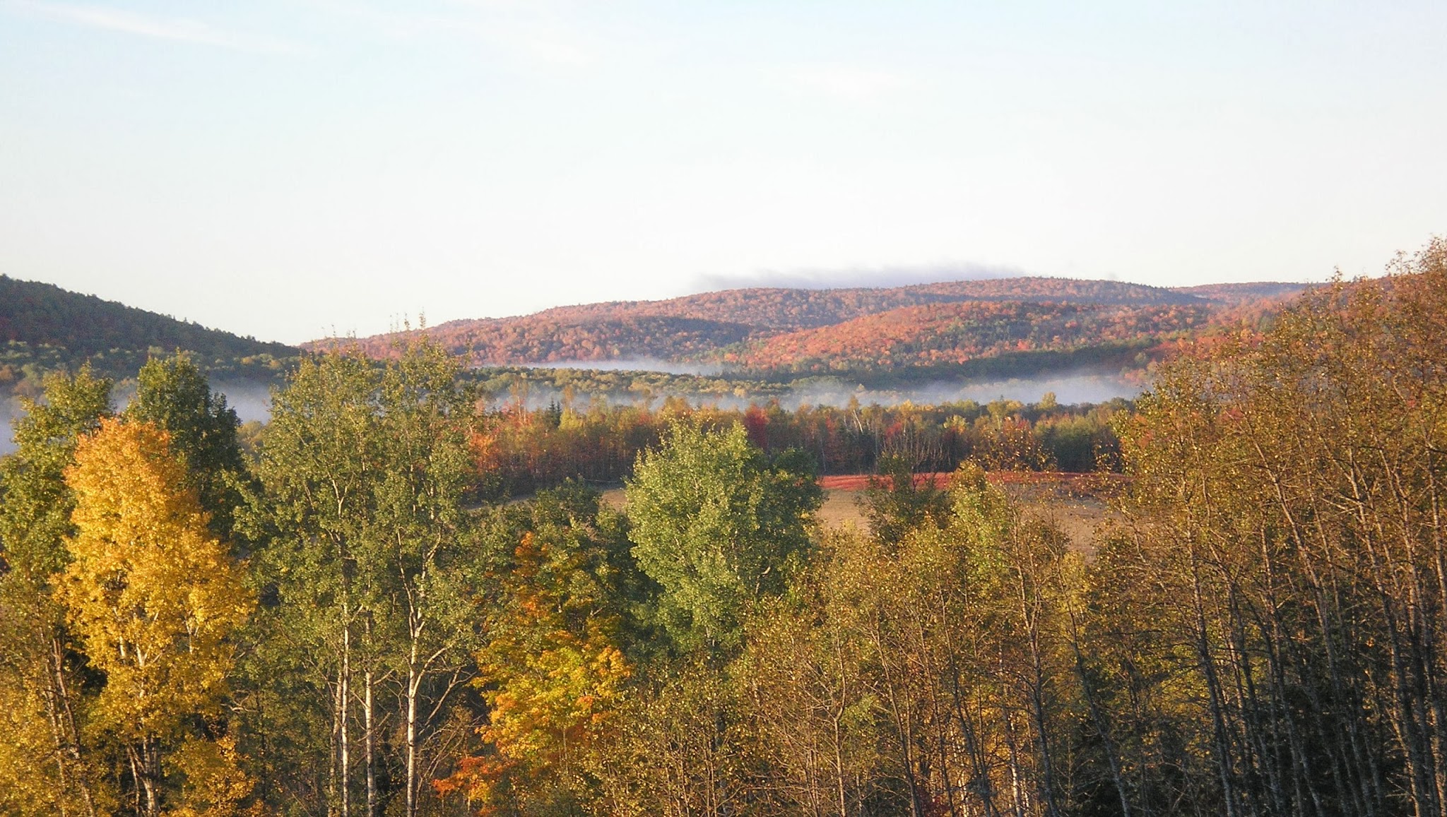 Maine Forest Service YouTube banner