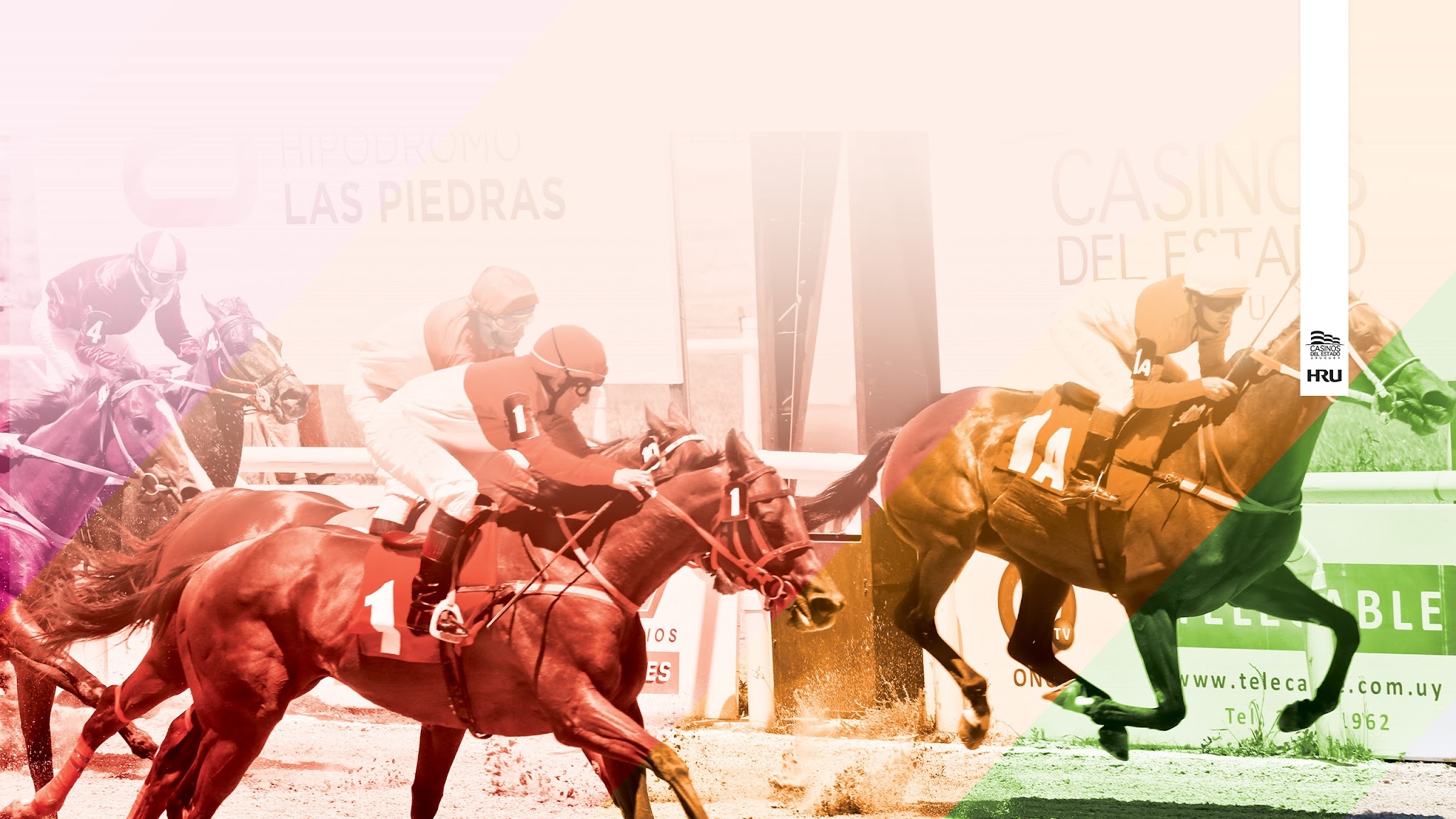 Hipódromo Las Piedras (Videos Carreras) YouTube banner