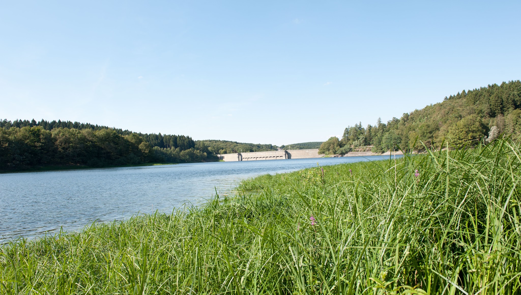 Wasserportal YouTube banner