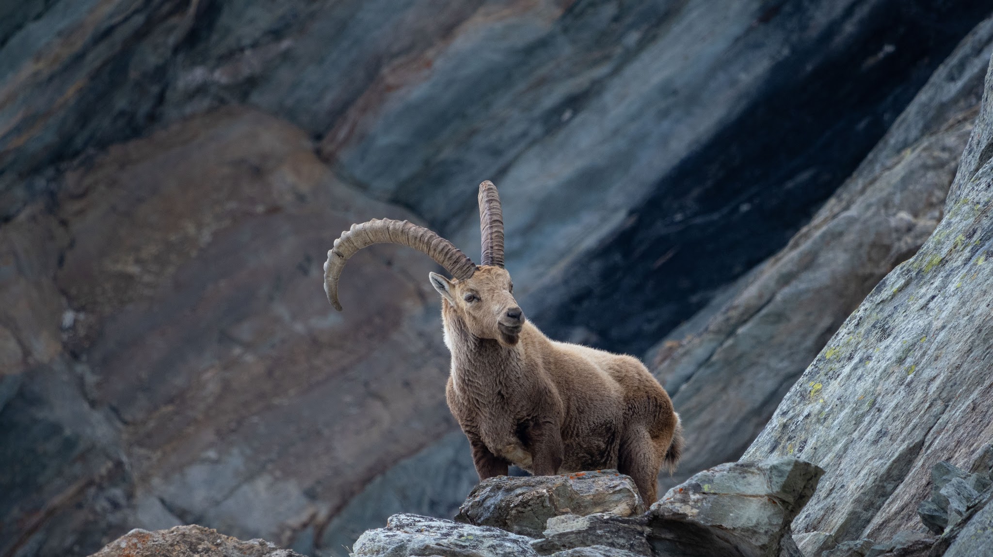 Parc national de la Vanoise YouTube banner