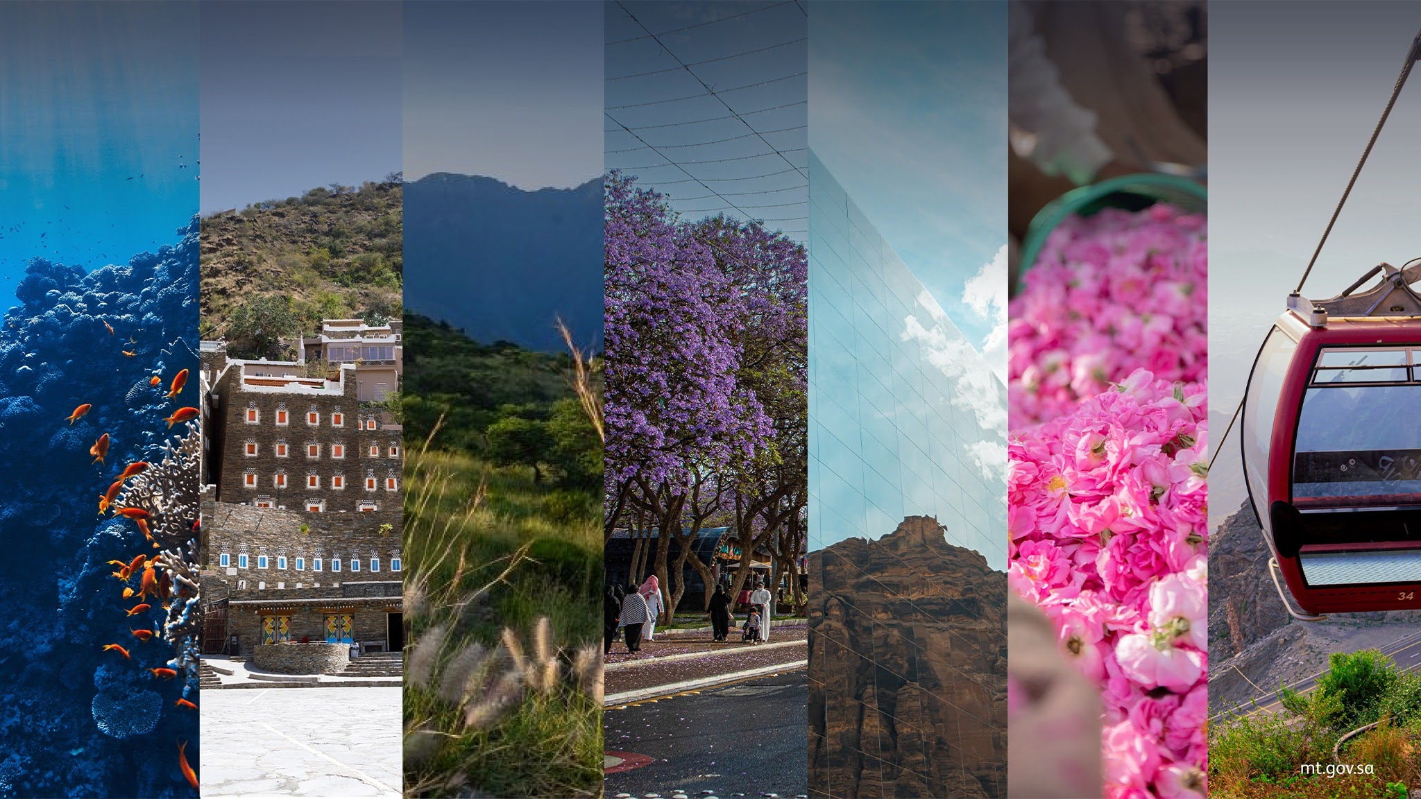 وزارة السياحة YouTube banner