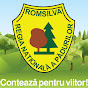 Regia Nationala a Padurilor - ROMSILVA logo