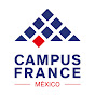 Campus France México YouTube channel avatar 