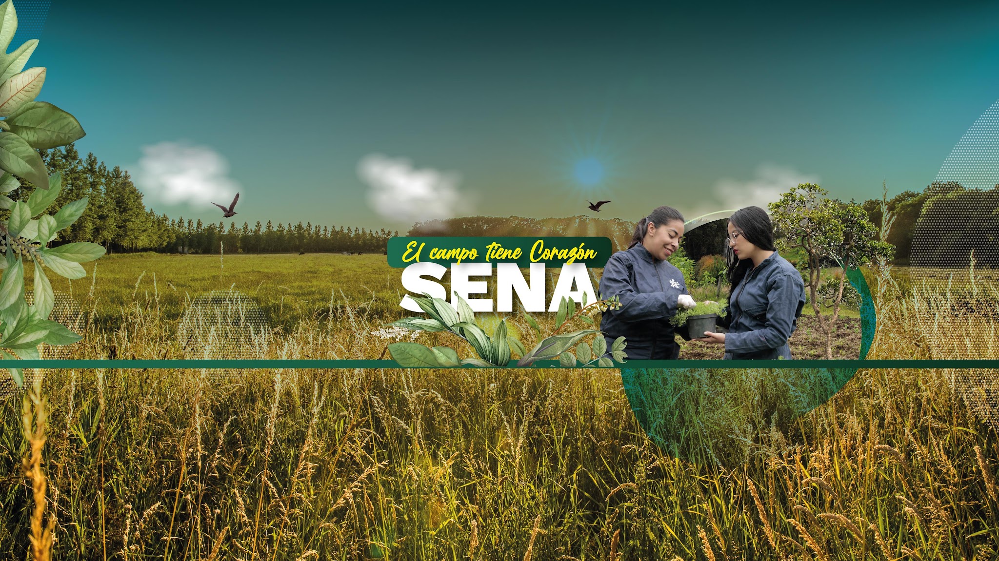 SENA YouTube banner