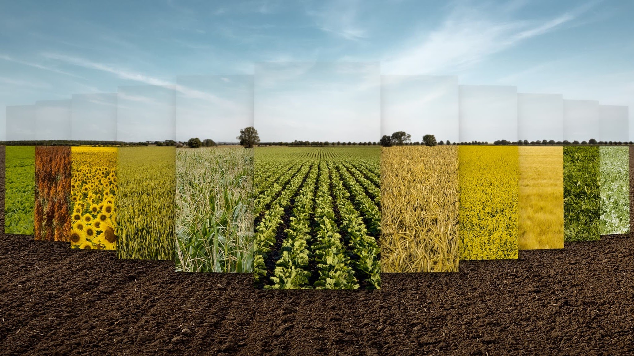 KWS Deutschland YouTube banner