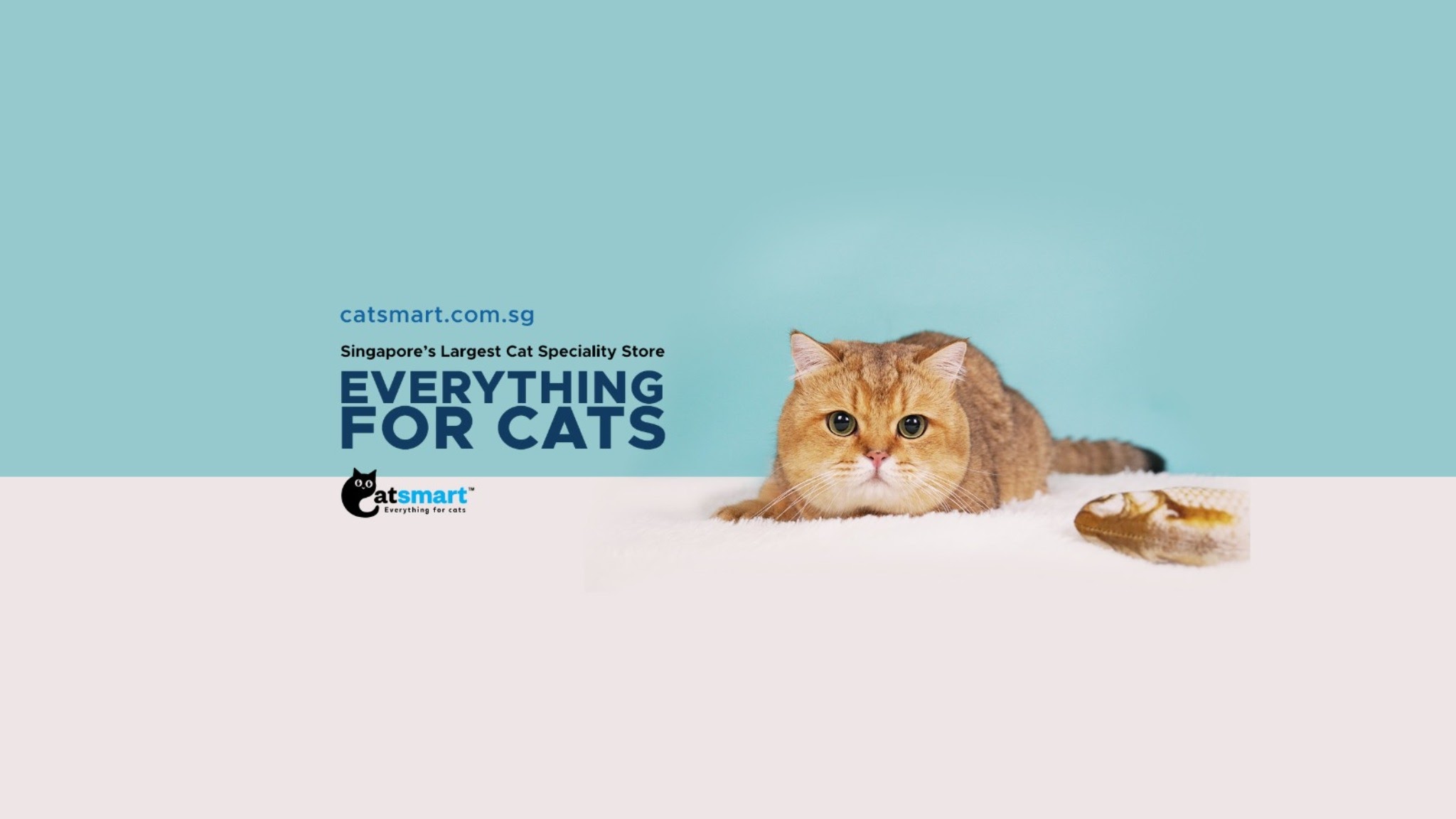 CatSmart Singapore YouTube banner