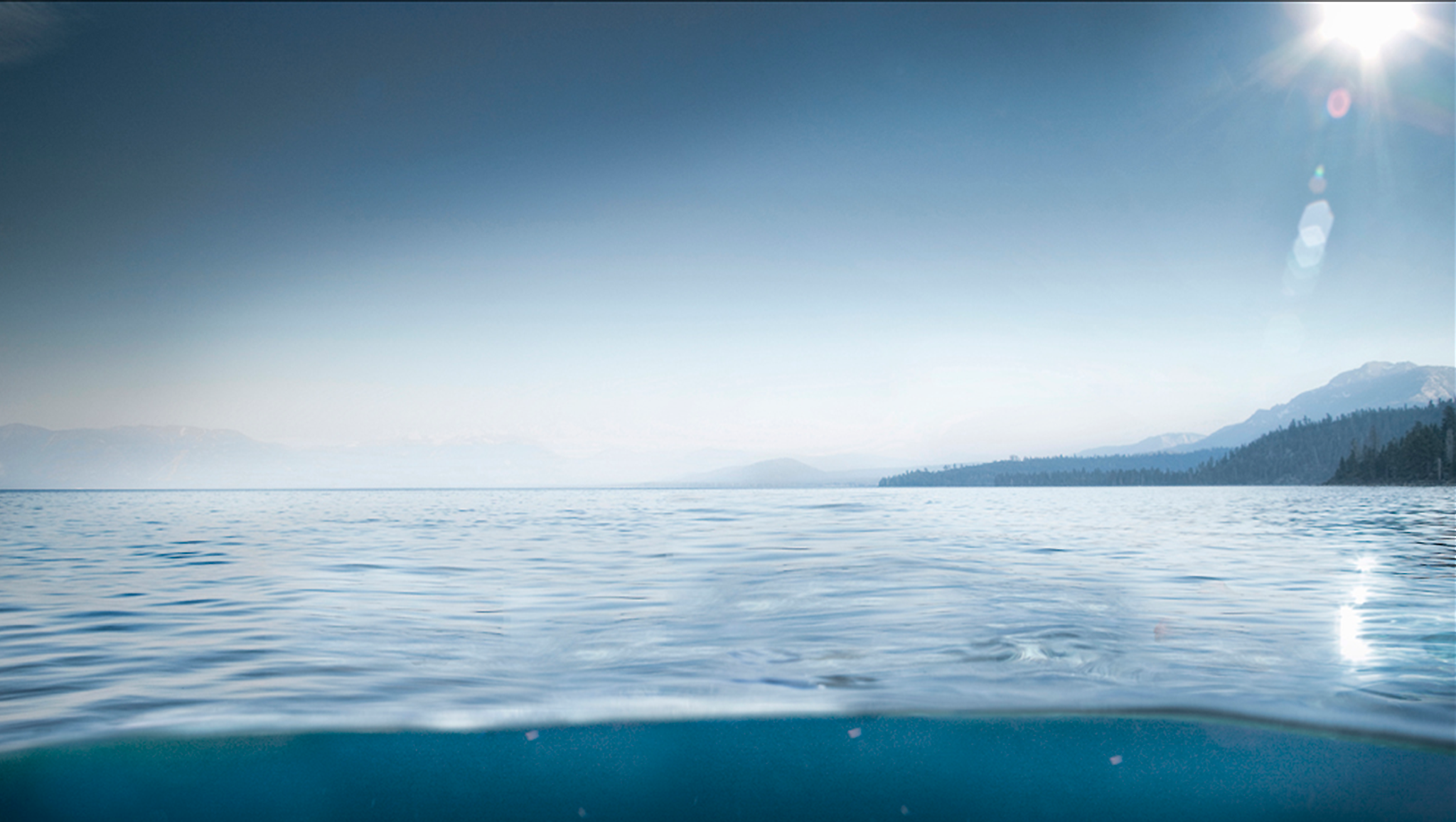 CaliforniaDBW YouTube banner