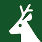ČMMJ YouTube channel avatar 
