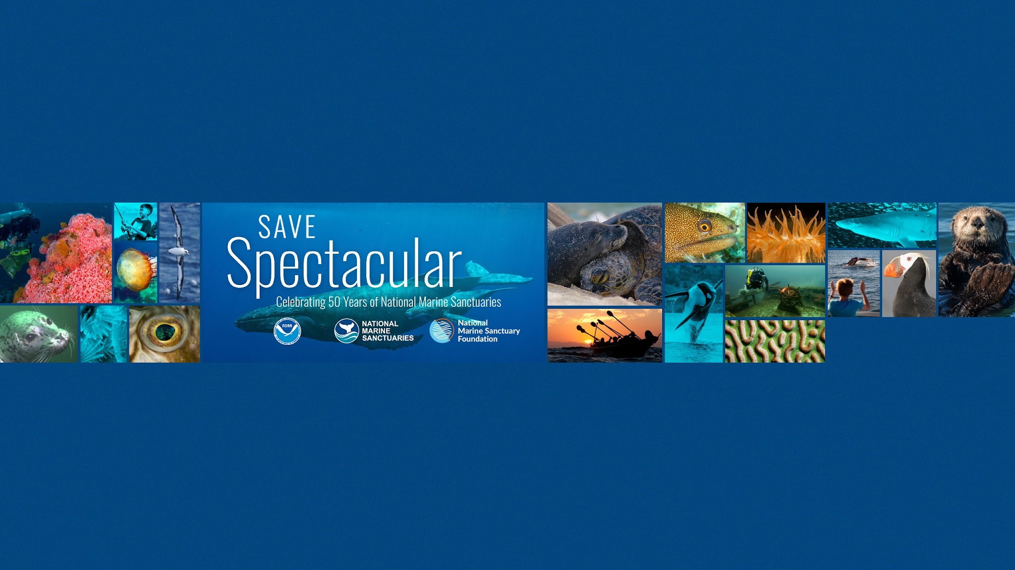 NOAA Sanctuaries YouTube banner