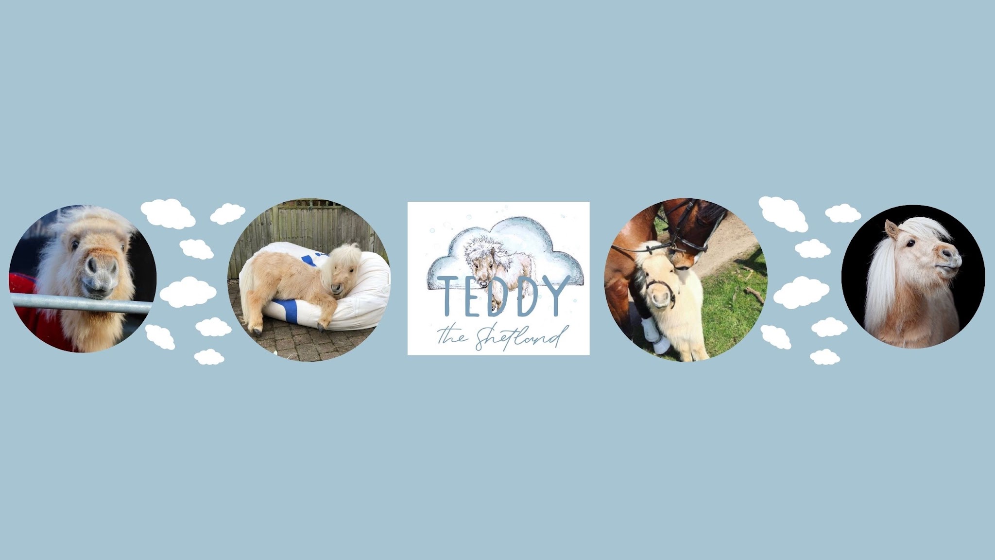 teddytheshetland YouTube banner