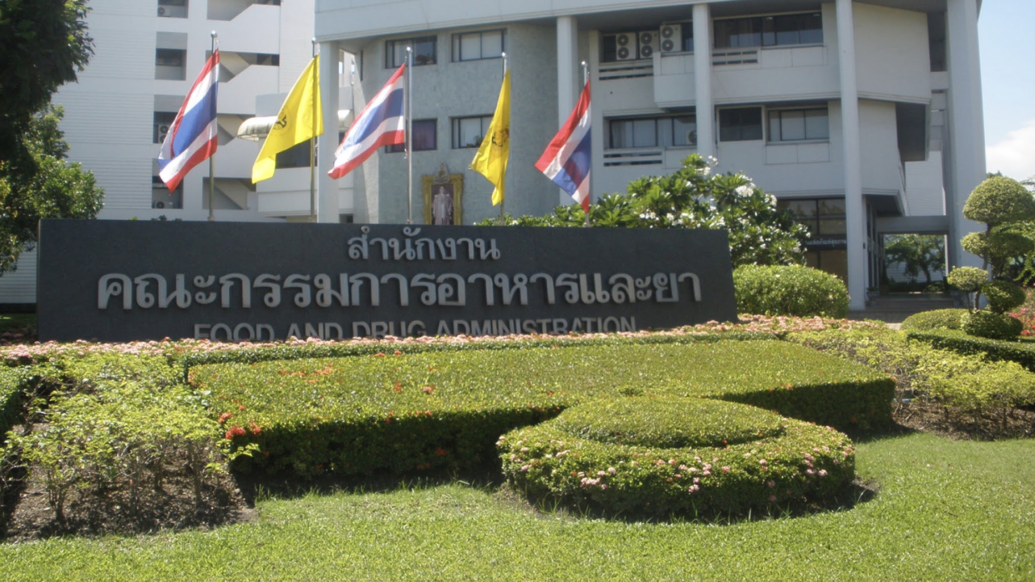 FDA Thai YouTube banner