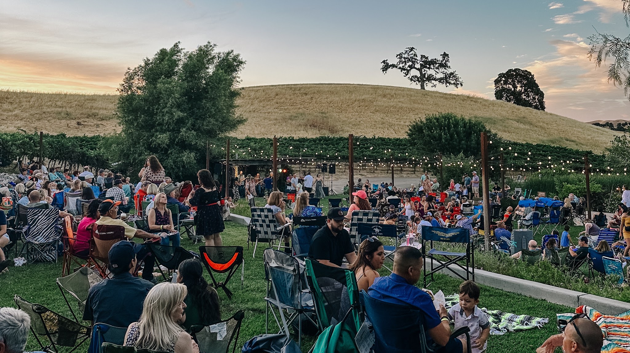 Yolo County Wines YouTube banner